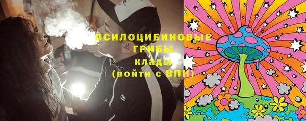 прущие грибы Вяземский